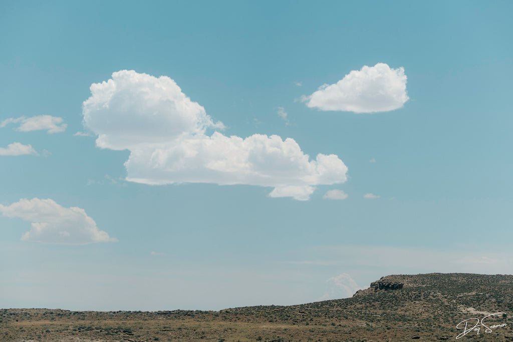 Landscapes